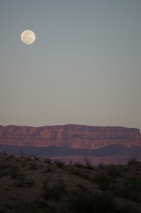 Moonrise in the desert